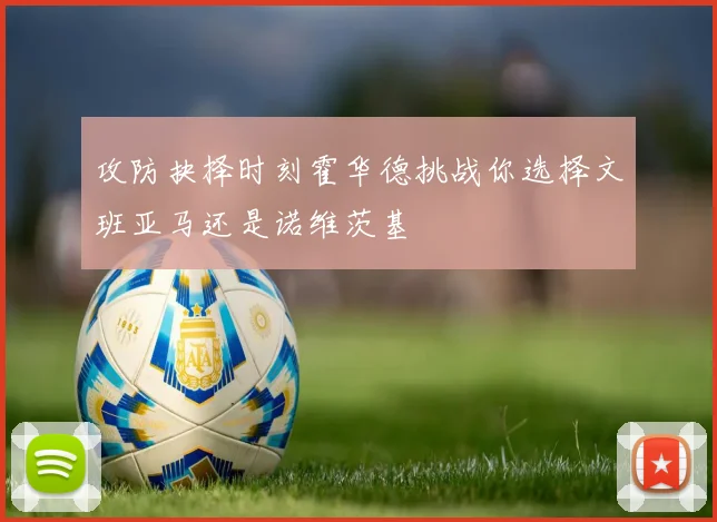 攻防抉择时刻霍华德挑战你选择文班亚马还是诺维茨基