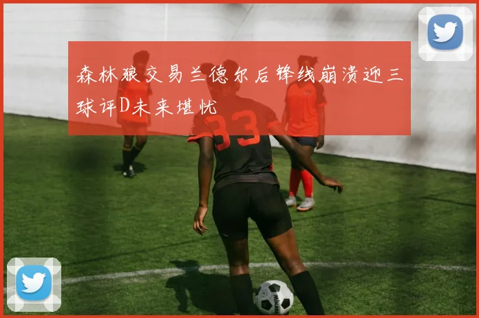 森林狼交易兰德尔后锋线崩溃迎三球评D未来堪忧
